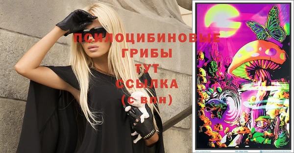 apvp Алексин