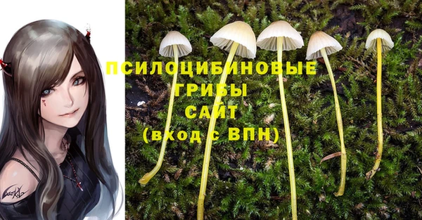 гашик Алзамай