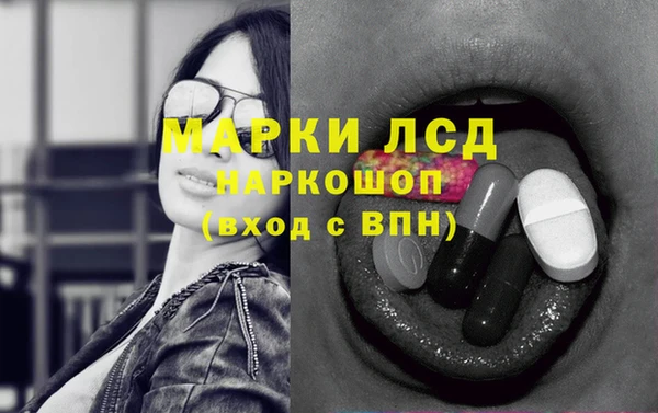 apvp Алексин